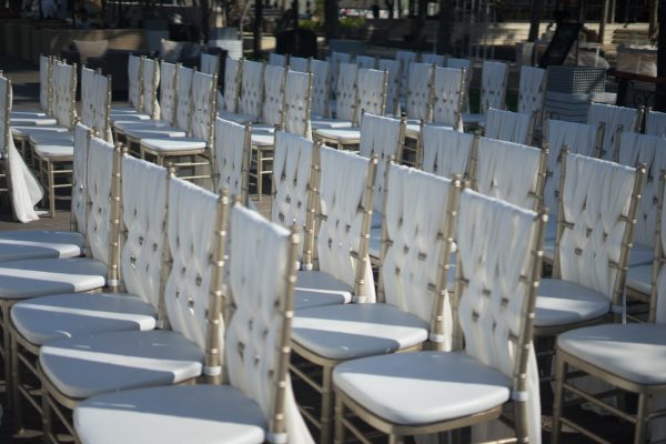 A closeup shot of white chairs for the guests of a wedding ceremony